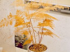 -大十夲TAO(南头古城店)