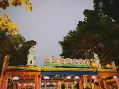 -广州长隆国际大马戏