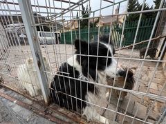 -清风小镇闯关东影视基地