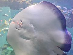 -海合安青岛极地海洋公园