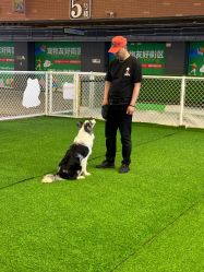 -酷嗒动物文化乐园(cutezoo西溪乐天城店)