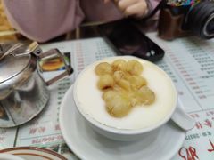 -义顺牛奶公司(新马路老店)