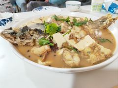 豆腐狗鱼-煲来饱去冷水鱼