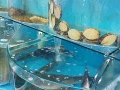 -日照大牌檔•小船海鲜(万平口店)