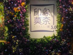 -印象莫奈时光映迹艺术展