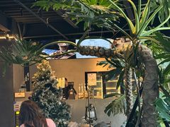 -J Create城市露营咖啡·简餐·宠物(上海动物园店)