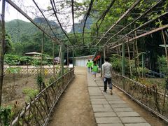 -广西龙虎山风景区