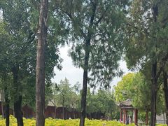 -洛阳白马寺