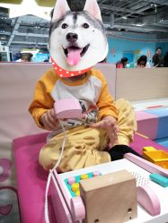 -利奥梦幻主题乐园(爱琴海购物公园店)