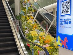 -凯德MALL(望京店)