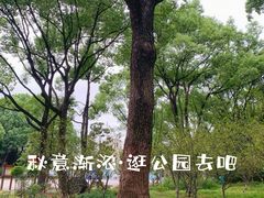 -黄兴公园