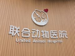 -联合动物医院(光谷诊疗中心)