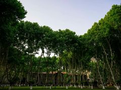 -东南大学(四牌楼校区)