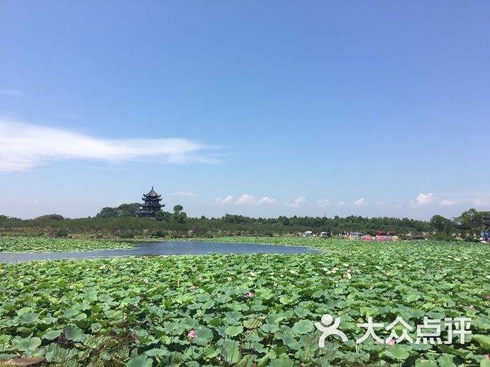 上海海灣國家森林公園圖片 - 第39張