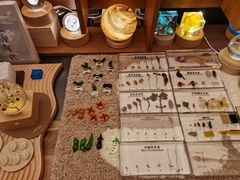 -二酉书店TOYOU BOOKS