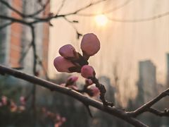 -太阳宫公园