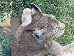 -青藏高原野生动物园