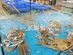 -宝燕海货工场(长江国际店)