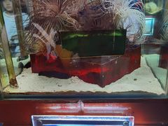 -太平洋海底世界