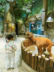 -宝燕乐园(闵行旗舰店)