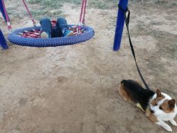 -浅山蜜塘奇妙乐园·亲子营地