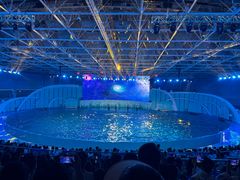 -海合安青岛极地海洋公园