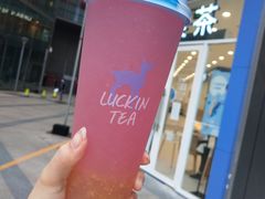 紫桂上仙茶-瑞幸咖啡(东城汇店)