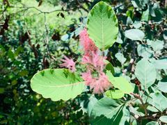 -北京西山国家森林公园