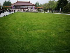 -金原鸭血粉丝汤·汤包·脆皮烤鸭(南京博物院店)