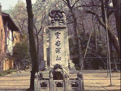 -灵谷景区