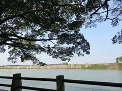 -大湾区中央湿地公园
