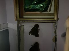 -樊笼真人密室逃脱(江南西店)