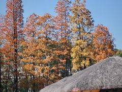 -西昌邛海宾馆
