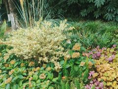 -苏州河梦清园环保主题公园