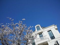 -上海玫瑰园度假酒店