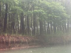 -动邦皮划艇·桨板·独木舟·团建户外运动俱乐部