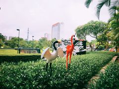 -观澜湖生态运动公社