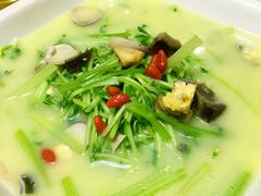 上汤豆苗-京味民福烤鸭店(建设四马路店)