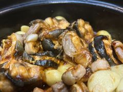 -金龙·打边炉(南京西路店)