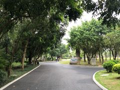 -南宁南湖公园