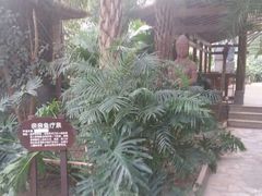 android_upload_pic-龙达温泉生态城