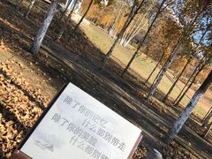 -哈尔滨大剧院