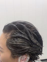 -T8 SALON