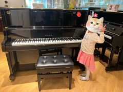 -柏斯音乐艺术中心·钢琴·吉他(上音店)