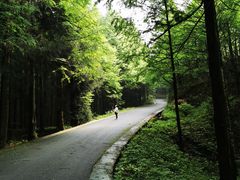 -山王坪喀斯特国家生态公园