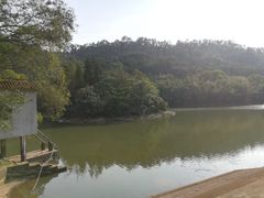 -滴水岩森林公园