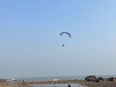 -海合安青岛极地海洋公园
