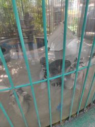 -萌宠亲子动物乐园(槐房万达店)