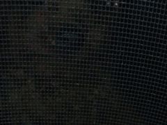 -pd派德宠物中心医院24H急重症·眼科中心·血液透析中心(嵩山北路店)