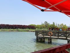 -营地公园·团建拓展·亲子户外(奉贤店)